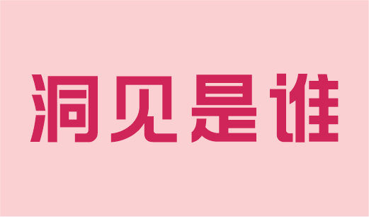 洞见是谁-洞见副业站